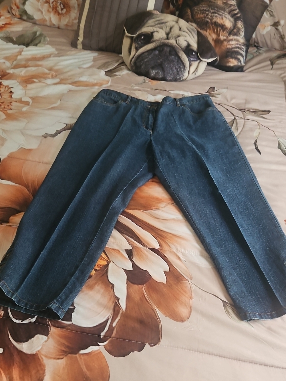 Ruby Road Indigo Jean Capris Size 12. They Have 4 Pockets Stretchy Waist - Picture 3 of 9